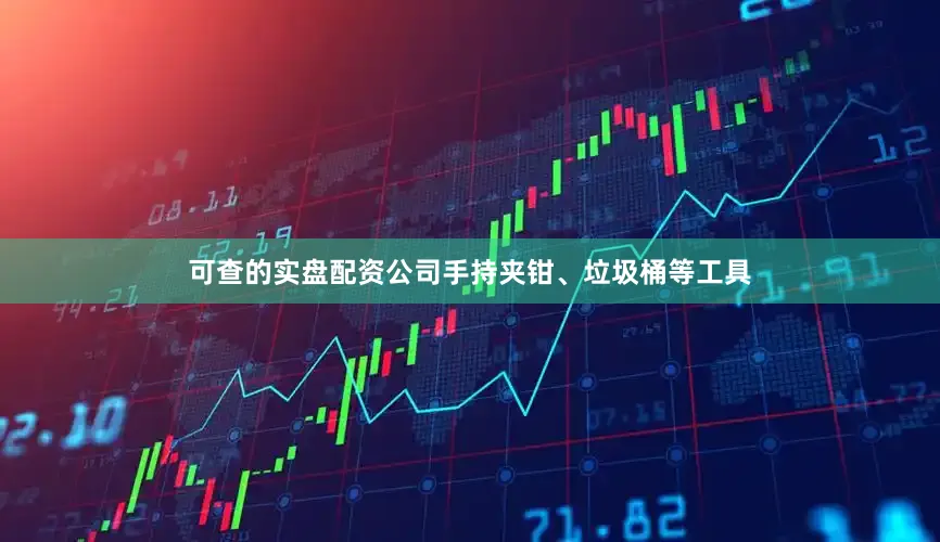 可查的实盘配资公司手持夹钳、垃圾桶等工具