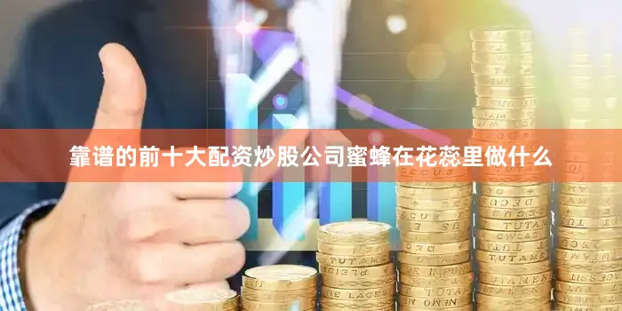 靠谱的前十大配资炒股公司蜜蜂在花蕊里做什么