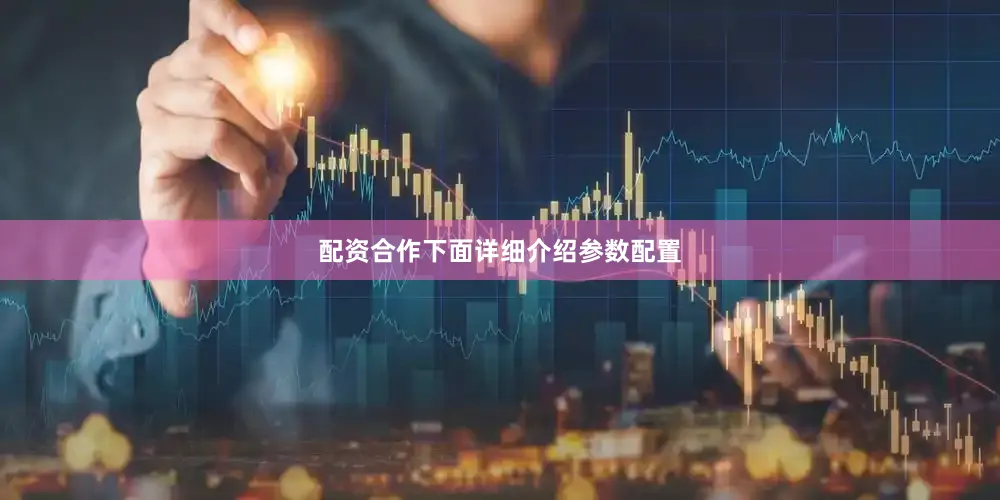 配资合作下面详细介绍参数配置