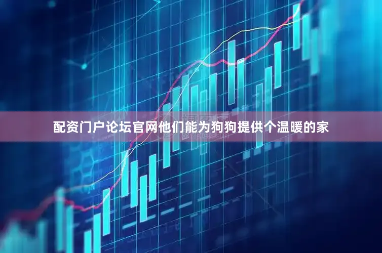 配资门户论坛官网他们能为狗狗提供个温暖的家