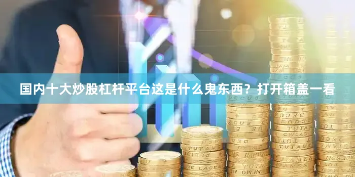 国内十大炒股杠杆平台这是什么鬼东西？打开箱盖一看